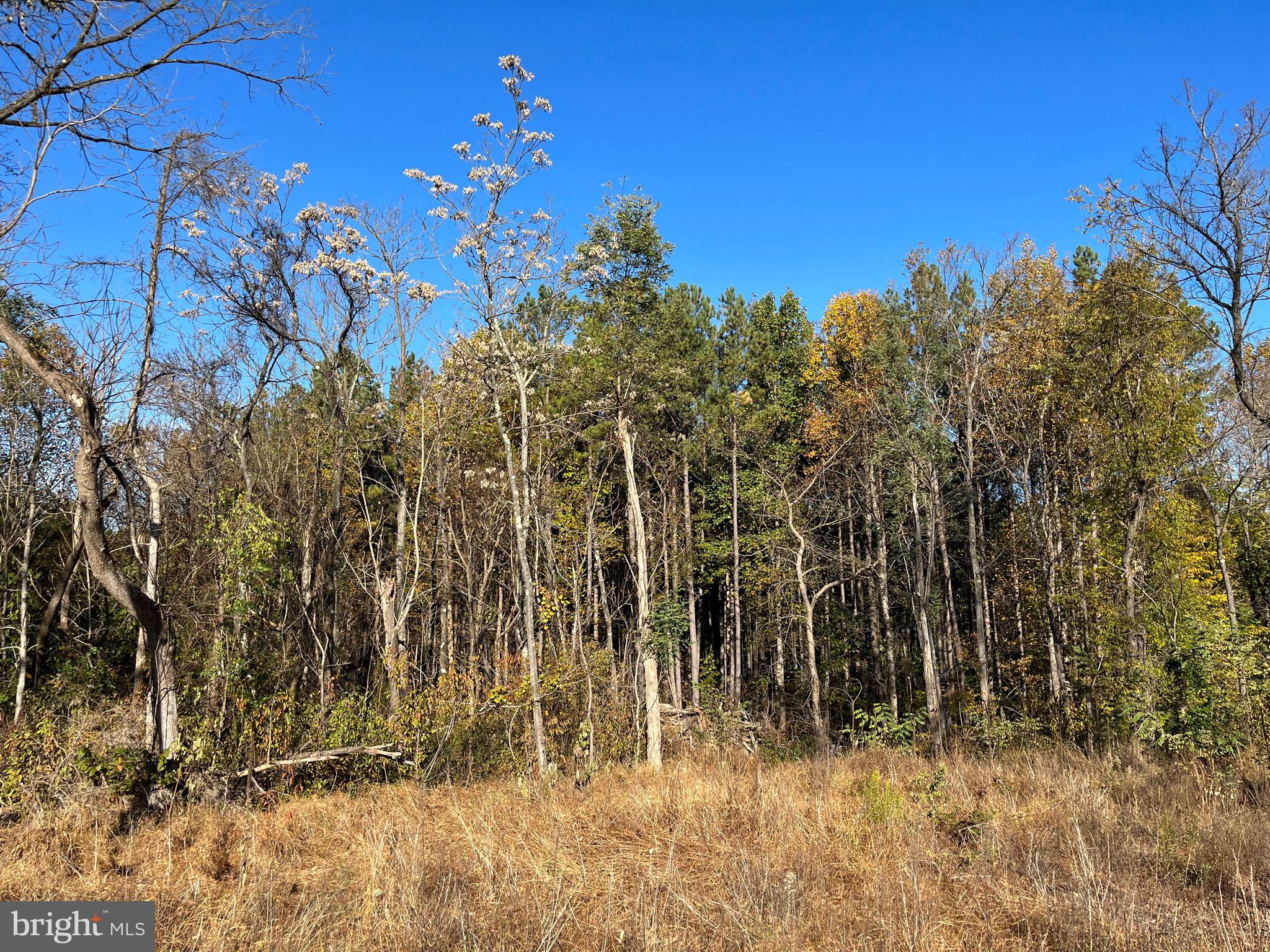 Rainbow Way Front Royal, VA 22630 - Photo 7 of 17