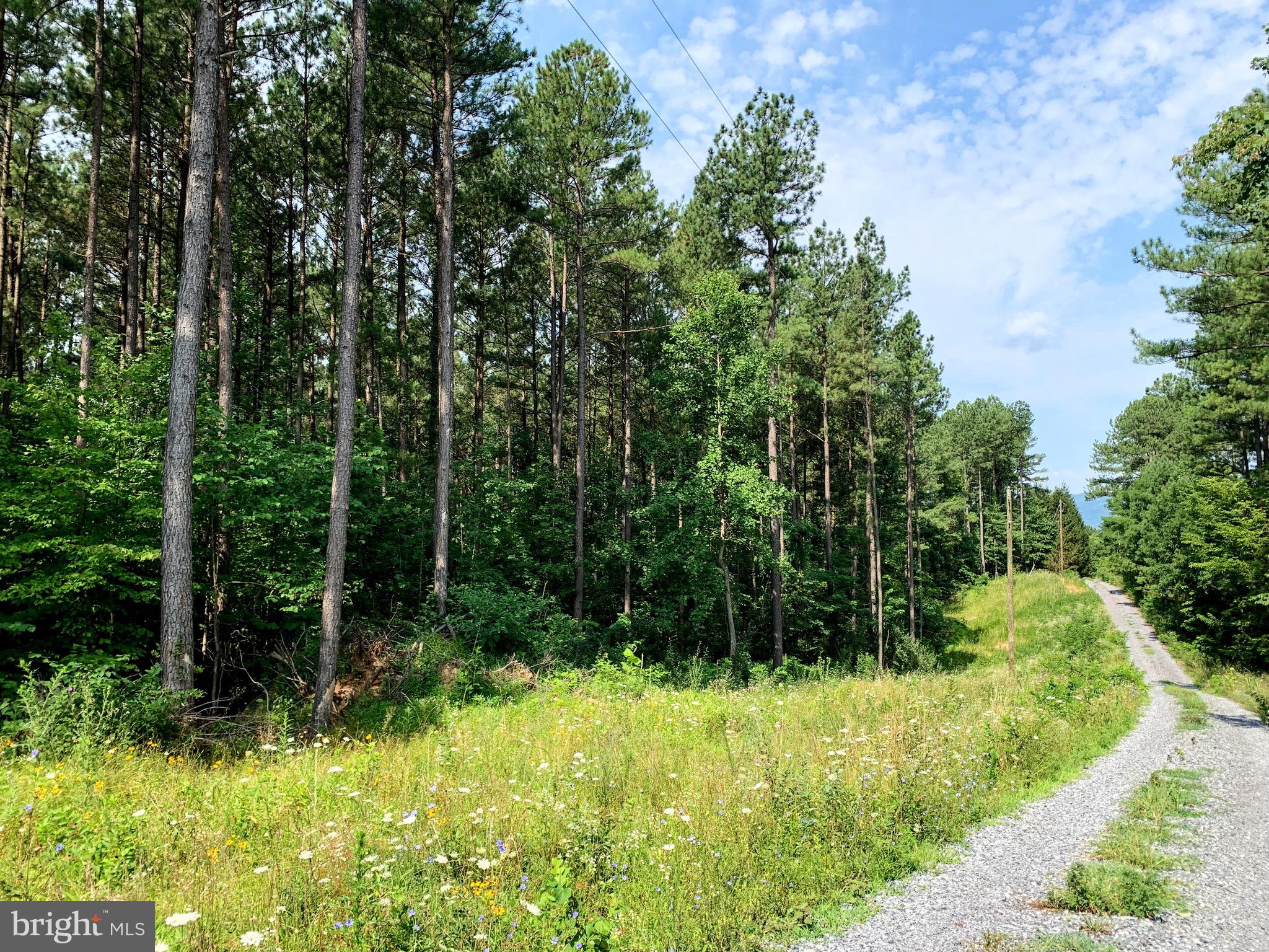 Rainbow Way Front Royal, VA 22630 - Photo 8 of 17