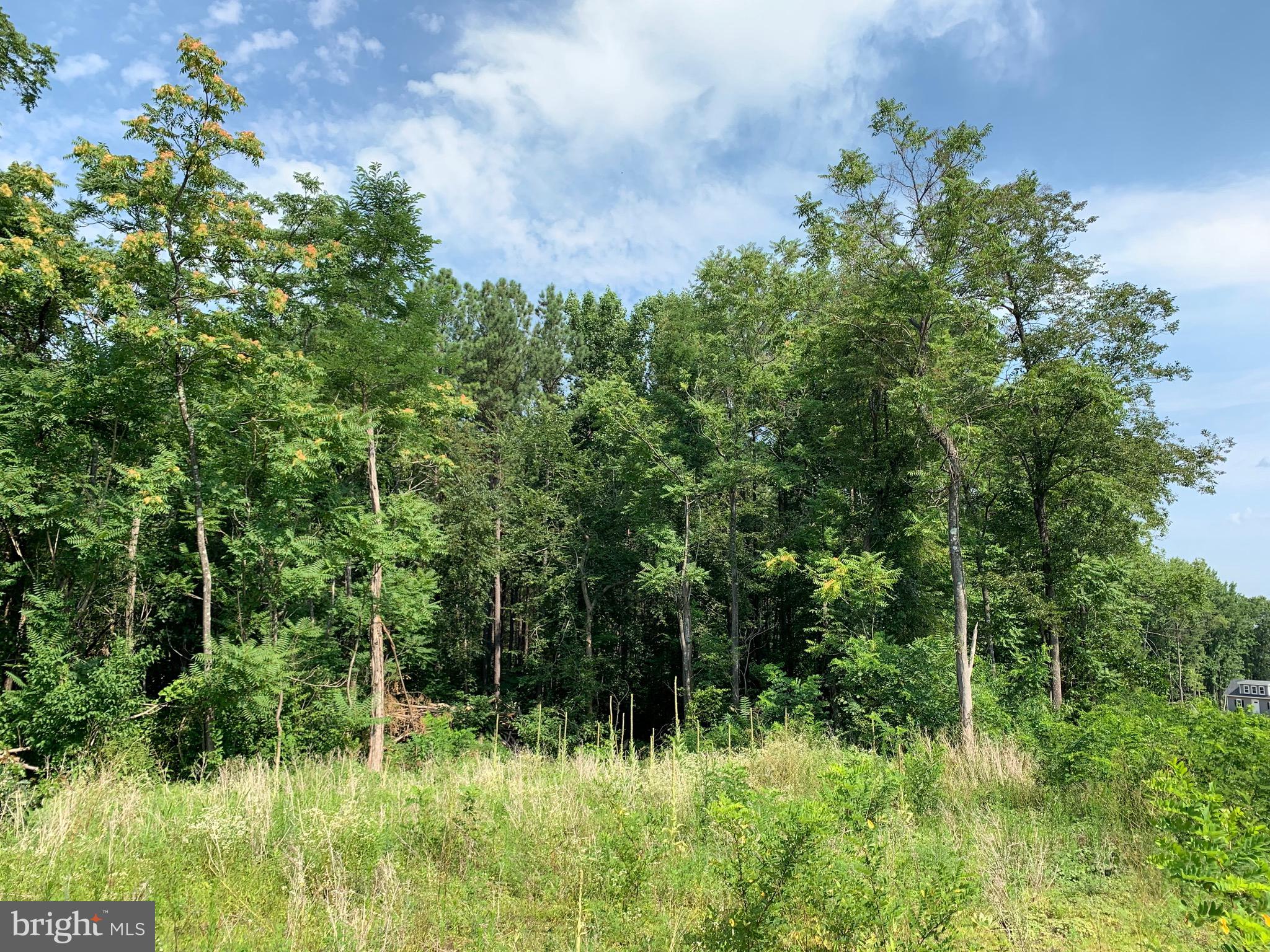 Rainbow Way Front Royal, VA 22630 - Photo 9 of 17