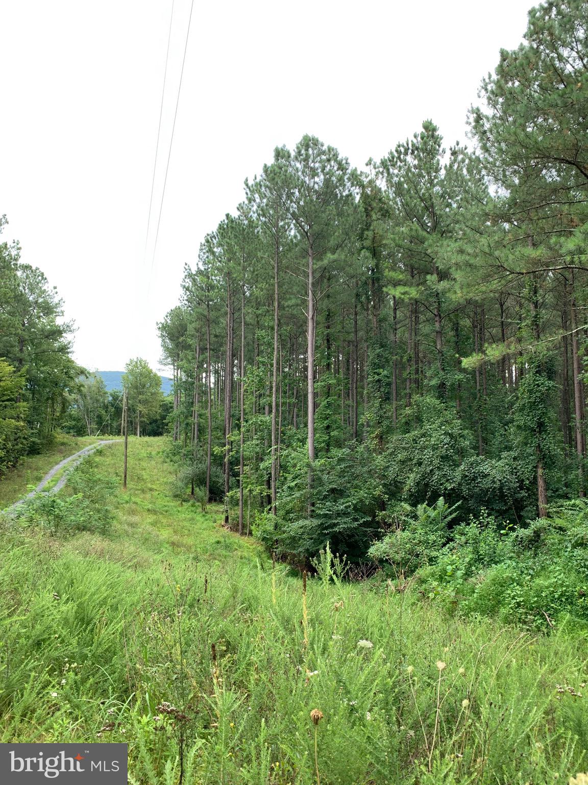 Rainbow Way Front Royal, VA 22630 - Photo 10 of 17