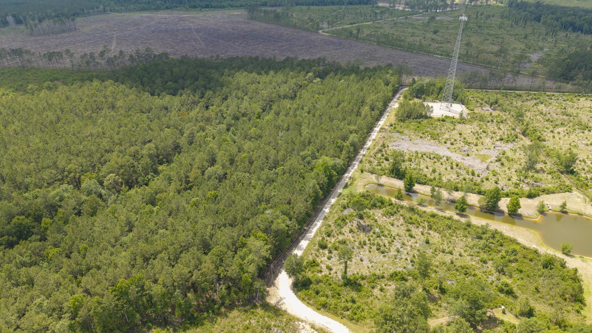 6222 Saints Delight Road, Unit LOT 8 Georgetown, SC 29440 - Photo 7 of 26