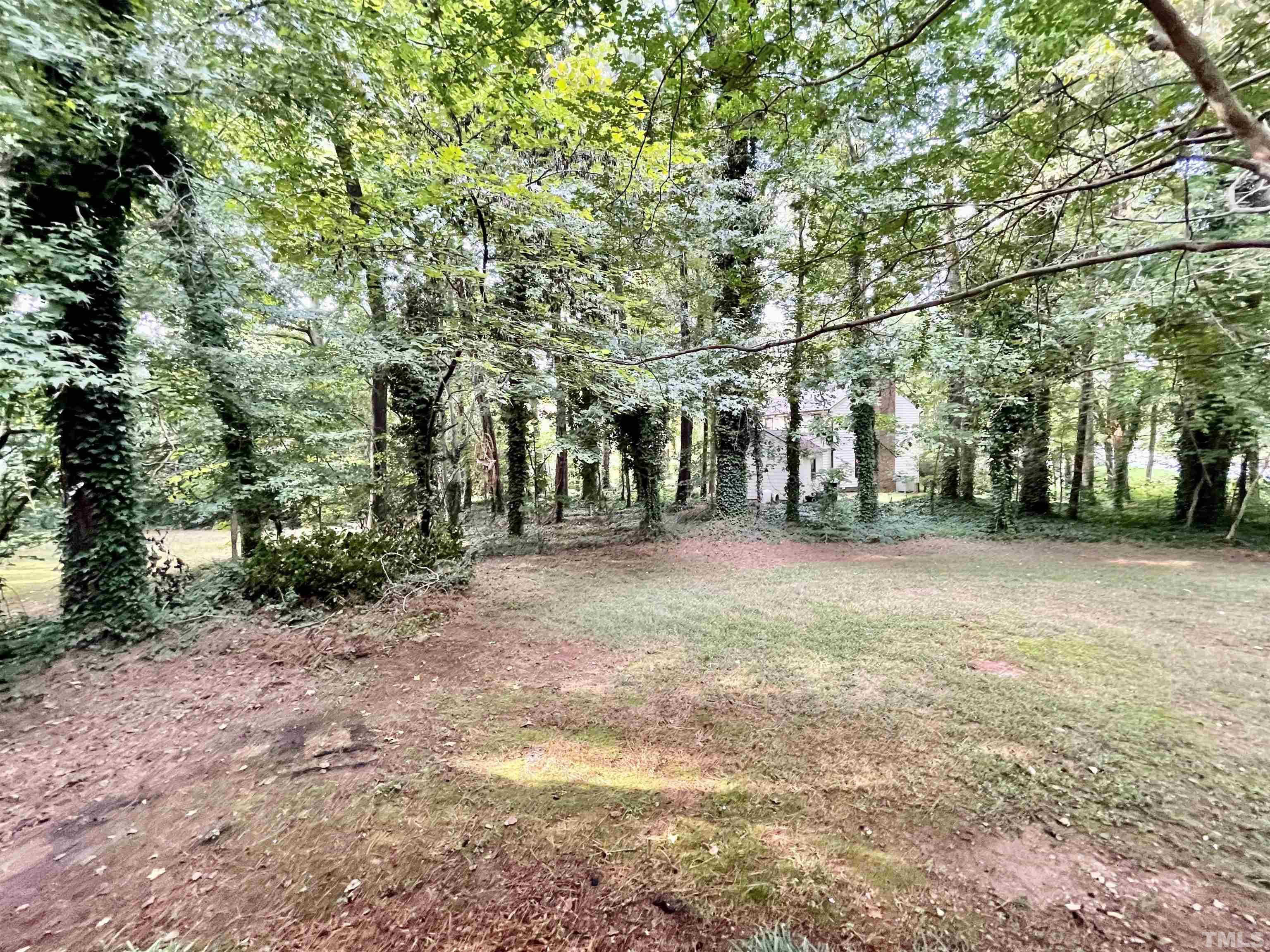 3100 Shadwell Court Raleigh, NC 27613 - Photo 28 of 30 a view of road with trees