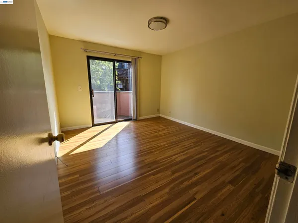 a potted plant sitting in front of a door with a potted plant