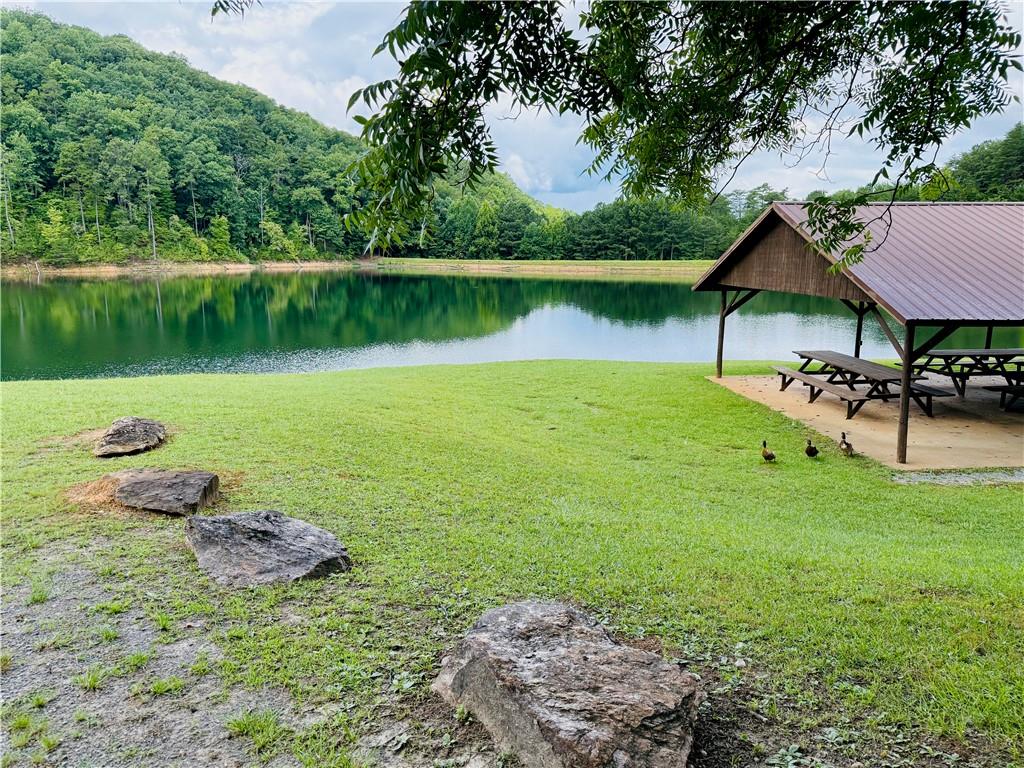 Lot 7 Stirratt Road Ranger, GA 30734 - Photo 15 of 20 Gallery Image 15