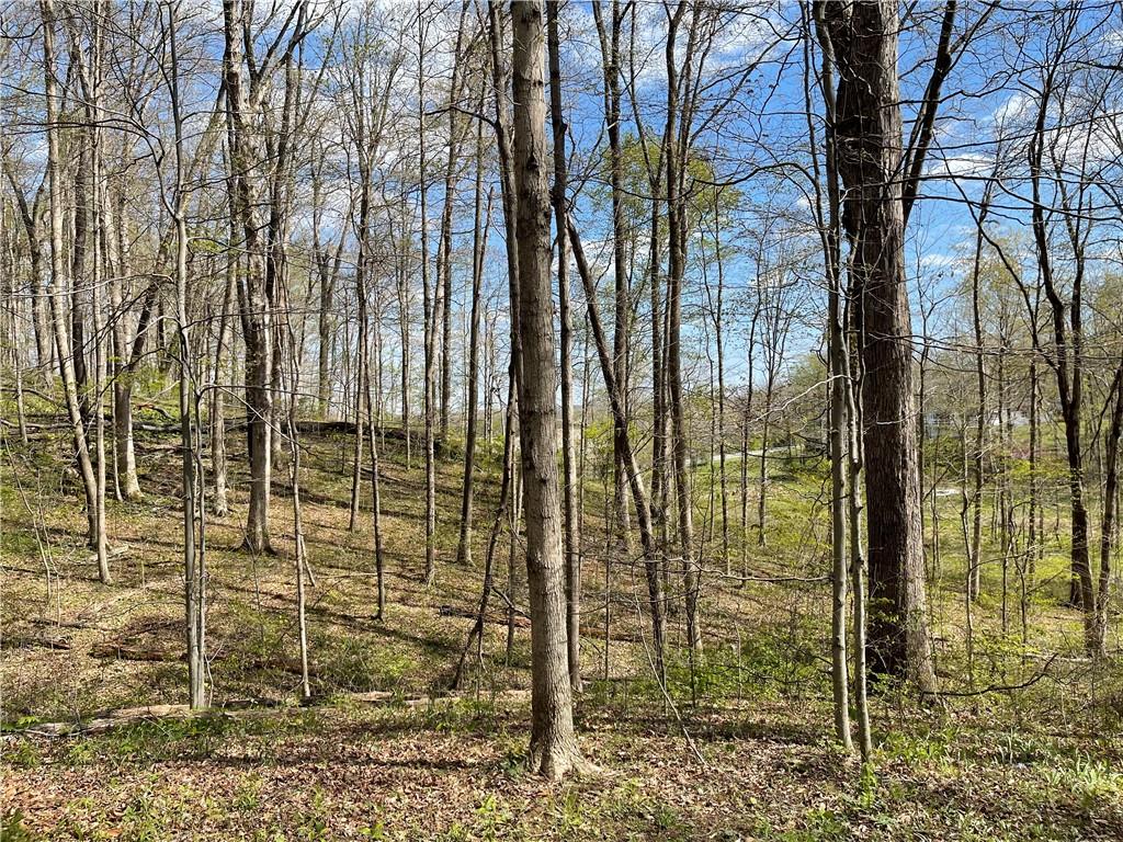 0 East Centenary Road Mooresville, IN 46158 - Photo 1 of 14 Gallery Image 1