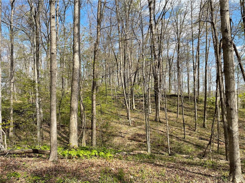 0 East Centenary Road Mooresville, IN 46158 - Photo 3 of 14 Gallery Image 3