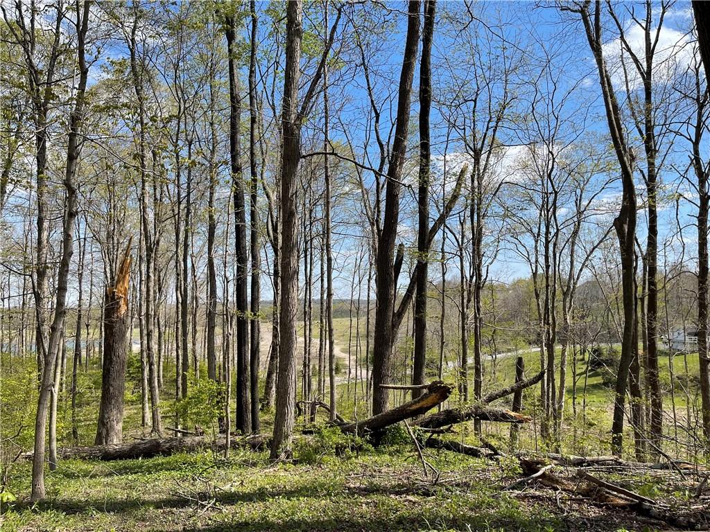 0 East Centenary Road Mooresville, IN 46158 - Photo 5 of 14 Gallery Image 5