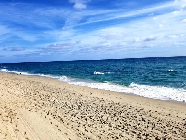 a view of a city with ocean
