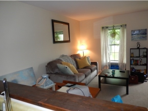 11 E Road, Unit 11 Middlebury, VT 05753 - Photo 2 of 11 Gallery Image 2