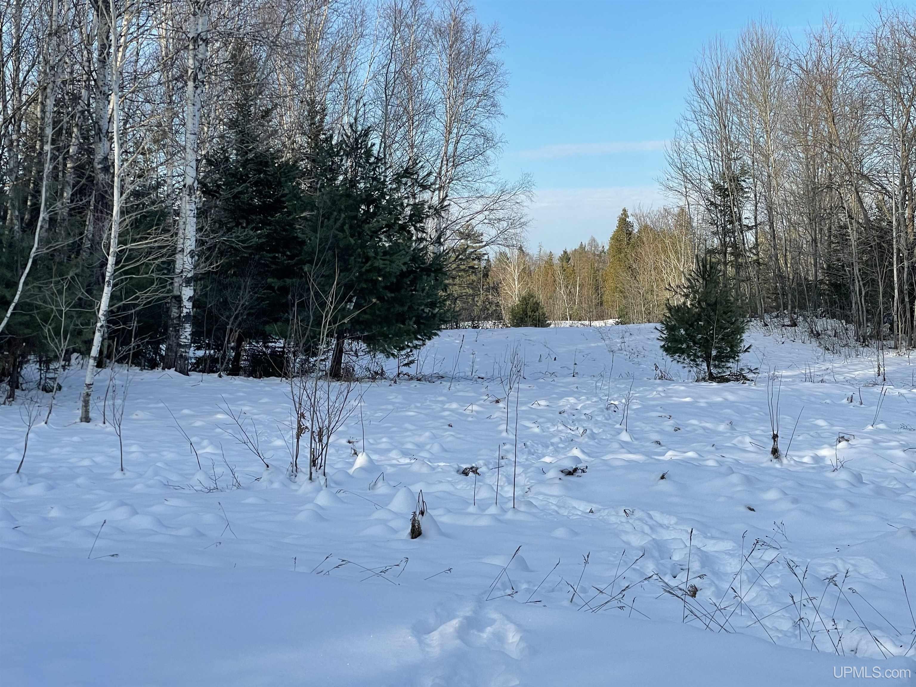 456 Rd Seney Mi 49883 Road Germfask, MI 49836 - Photo 1 of 8