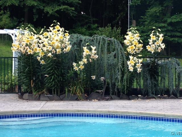 273 Chestnut Hill Road Emmaus, PA 18049 - Photo 28 of 28 Gallery Image 28