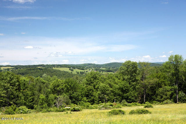 New Turnpike Road Cochecton, NY 12726 - Photo 4 of 9