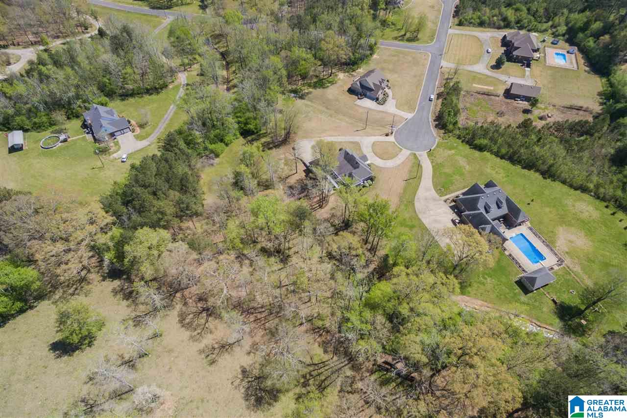 101 Deer Trace Road Oneonta, AL 35121 - Photo 48 of 50