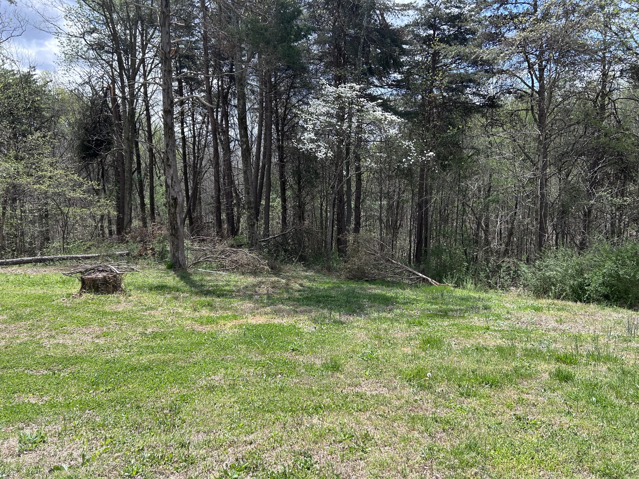 259 Union Hill Moss Road Moss, TN 38575 - Photo 27 of 28
