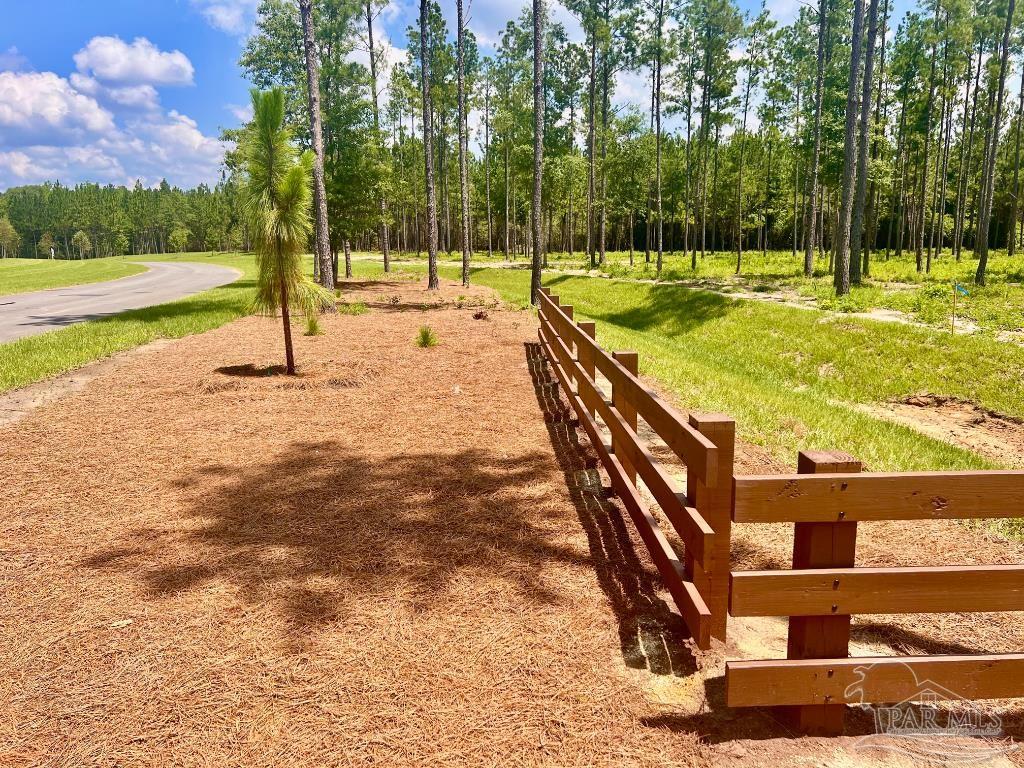 Lot 94 Turning Leaf Road Pace, FL 32571 - Photo 11 of 14