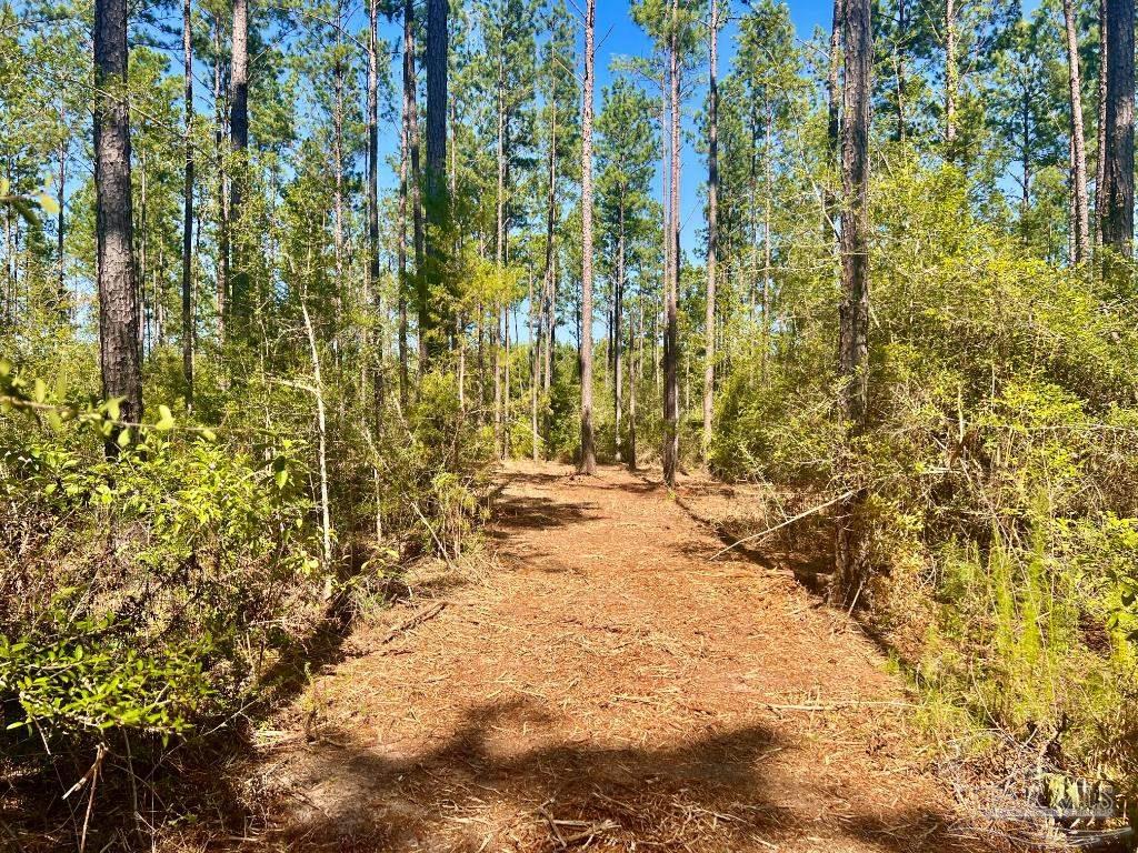 Lot 94 Turning Leaf Road Pace, FL 32571 - Photo 3 of 14