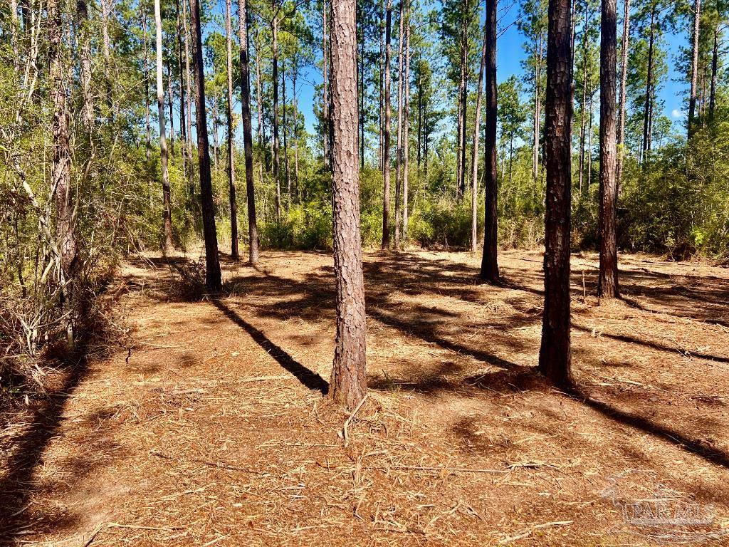Lot 94 Turning Leaf Road Pace, FL 32571 - Photo 7 of 14