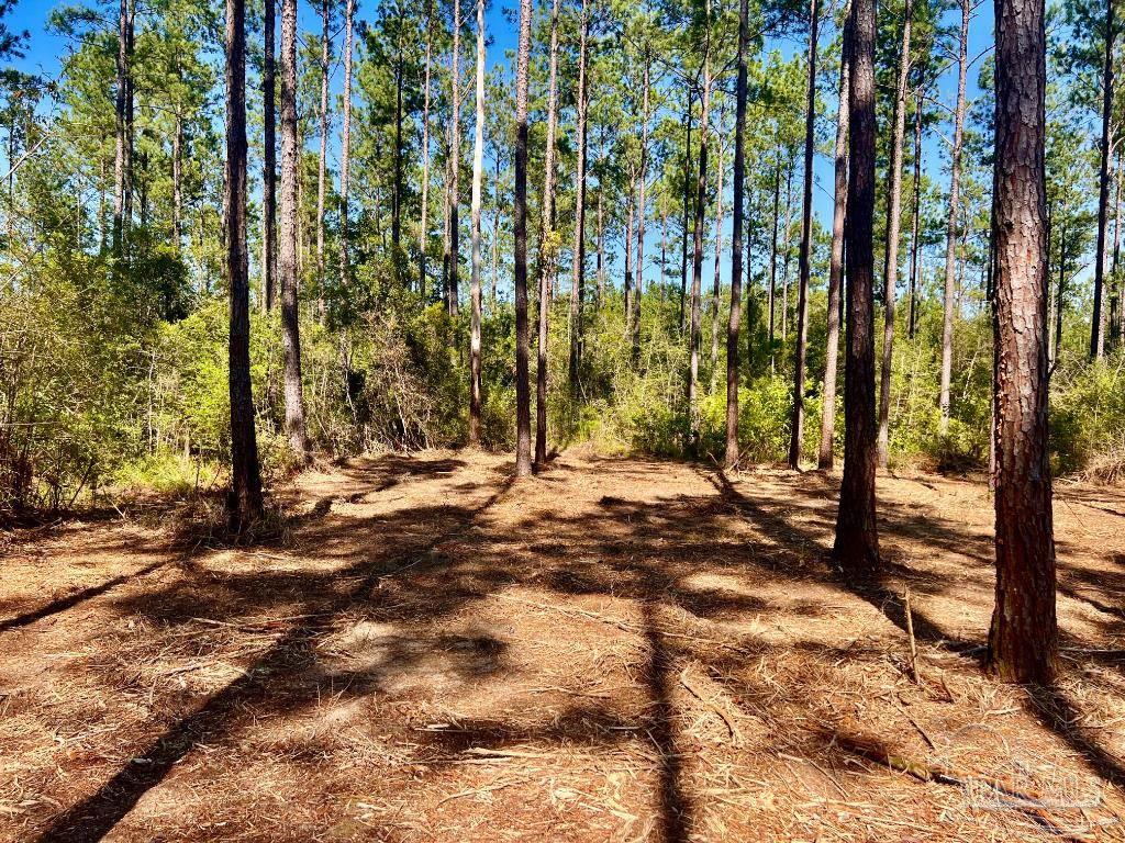 Lot 94 Turning Leaf Road Pace, FL 32571 - Photo 8 of 14