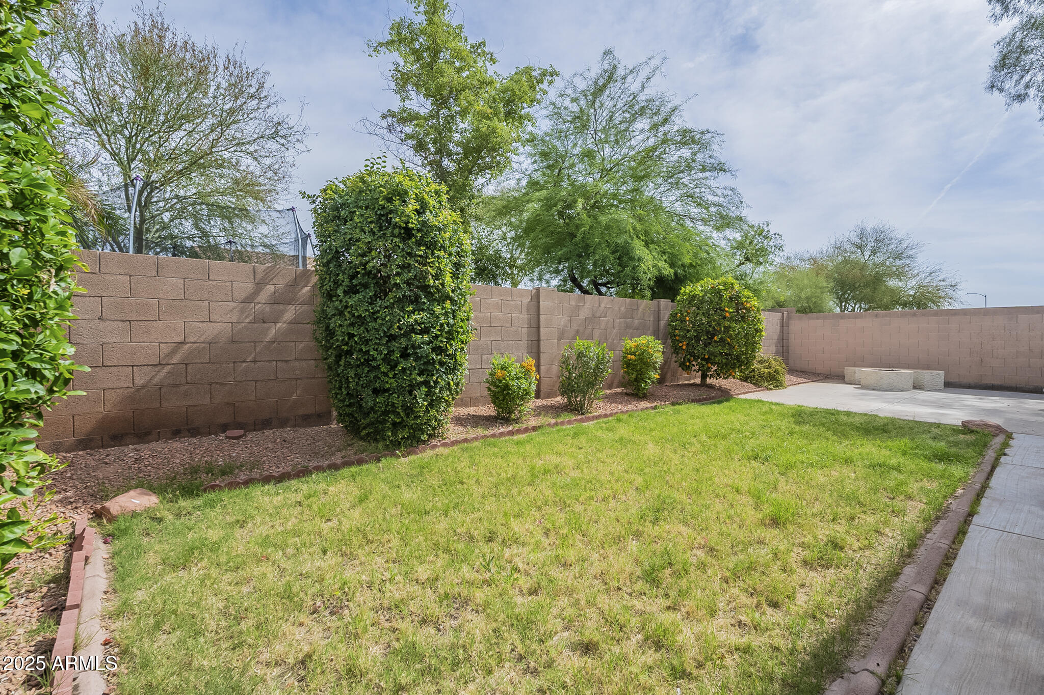15902 West Hearn Road Surprise, AZ 85379 - Photo 23 of 73 a view of a backyard with plants and a large tree
