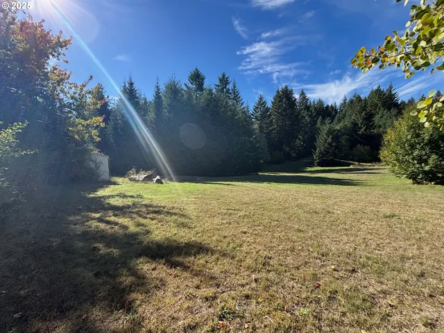a view of outdoor space with garden