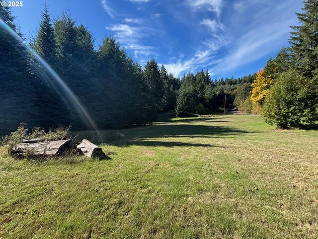 a view of a backyard with swimming pool