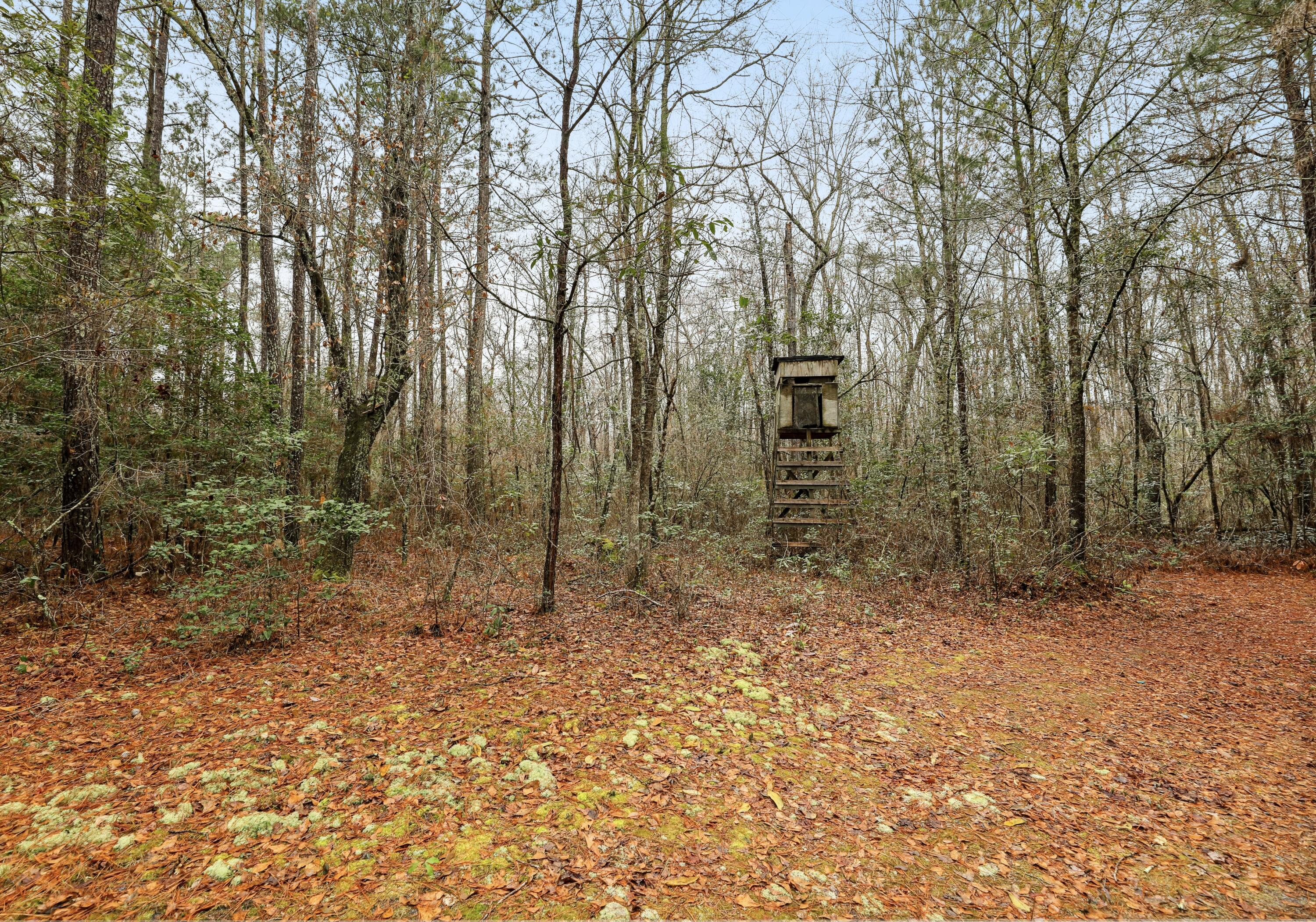 0 Santee River Road St. Stephen, SC 29479 - Photo 6 of 10