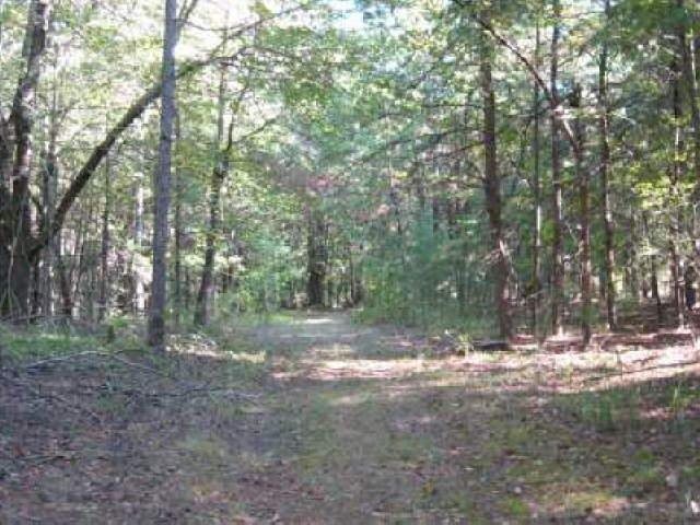 0 Sawmill Road Cleveland, GA 30528 - Photo 1 of 1 Gallery Image 1
