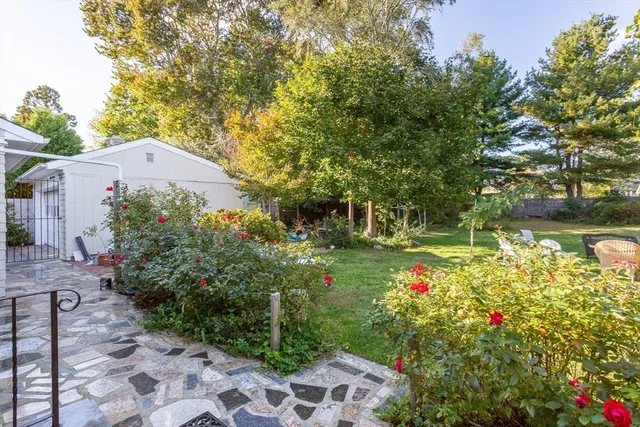 a view of a garden with flowers and trees