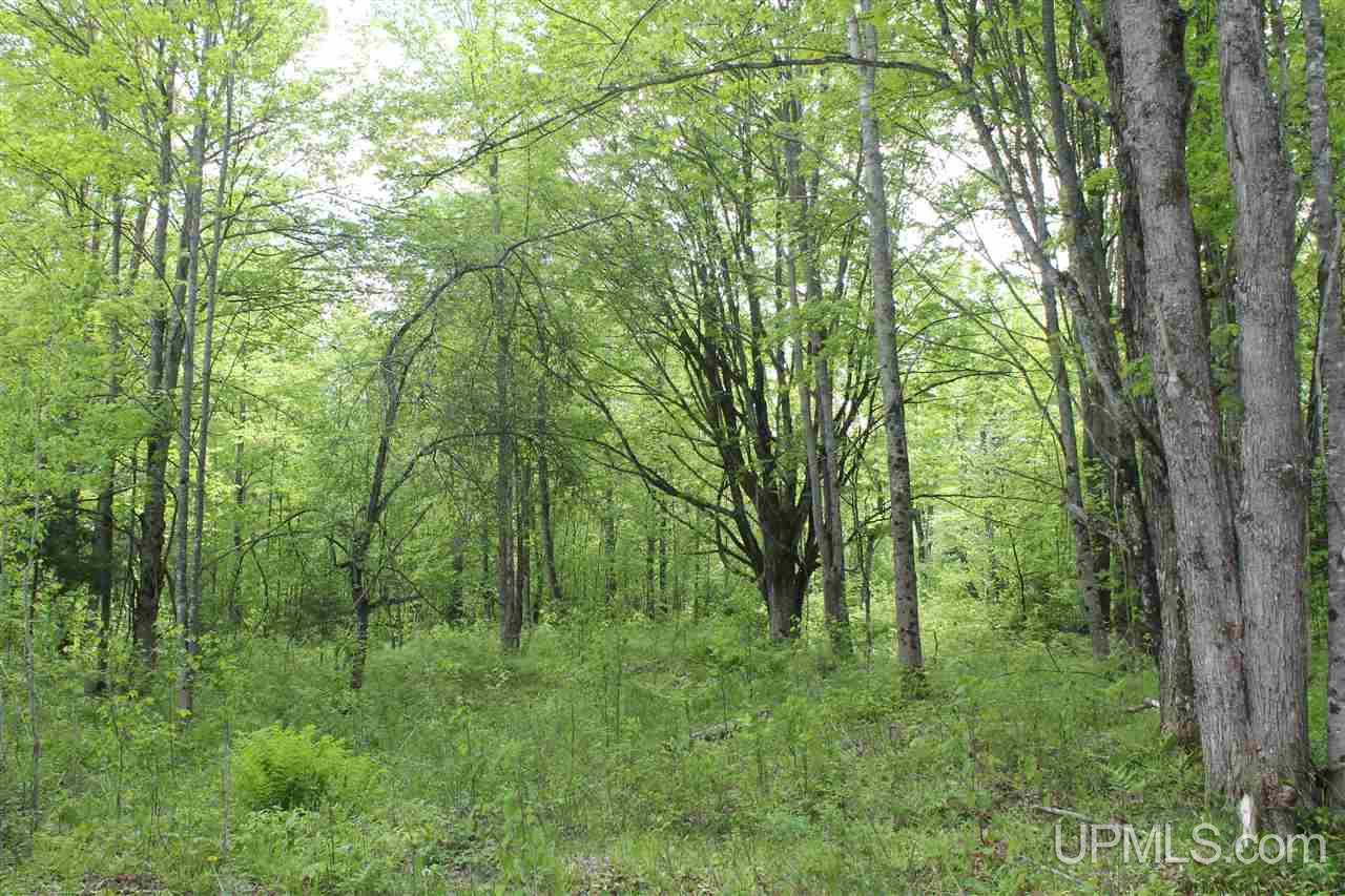 Tbd Off Kyllonen Road, Unit LAT 46 75685 LON 88 7526 Nisula, MI 49952 - Photo 6 of 24