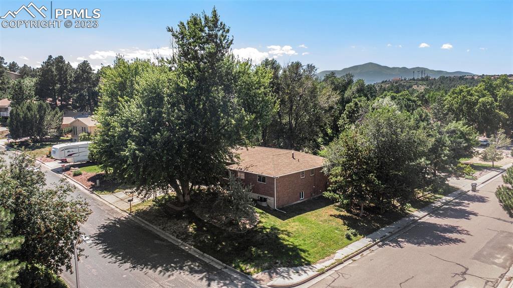 4506 Ridgecrest Drive Colorado Springs, CO 80918 - Photo 26 of 29 a view of a backyard with plants