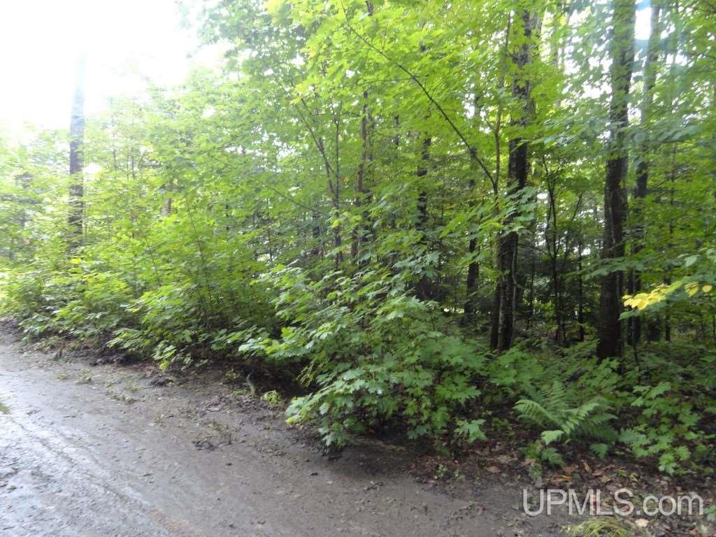Tbd Nevins Lake Road, Unit LOT #19 Shingleton, MI 49884 - Photo 1 of 4