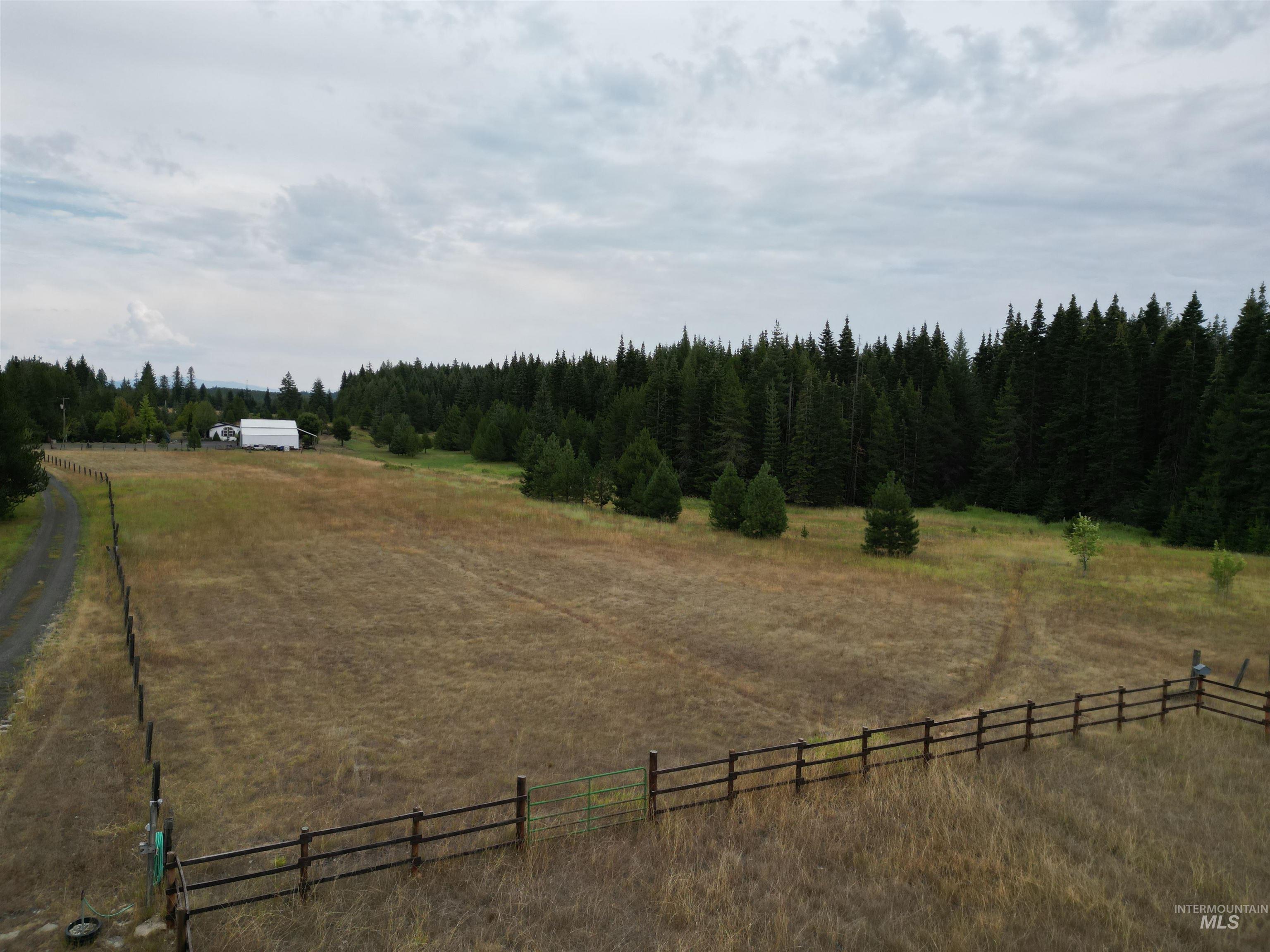 232 Lackey Road Weippe, ID 83553 - Photo 17 of 33 View of yard featuring a view of rural / pastoral area and a forest view