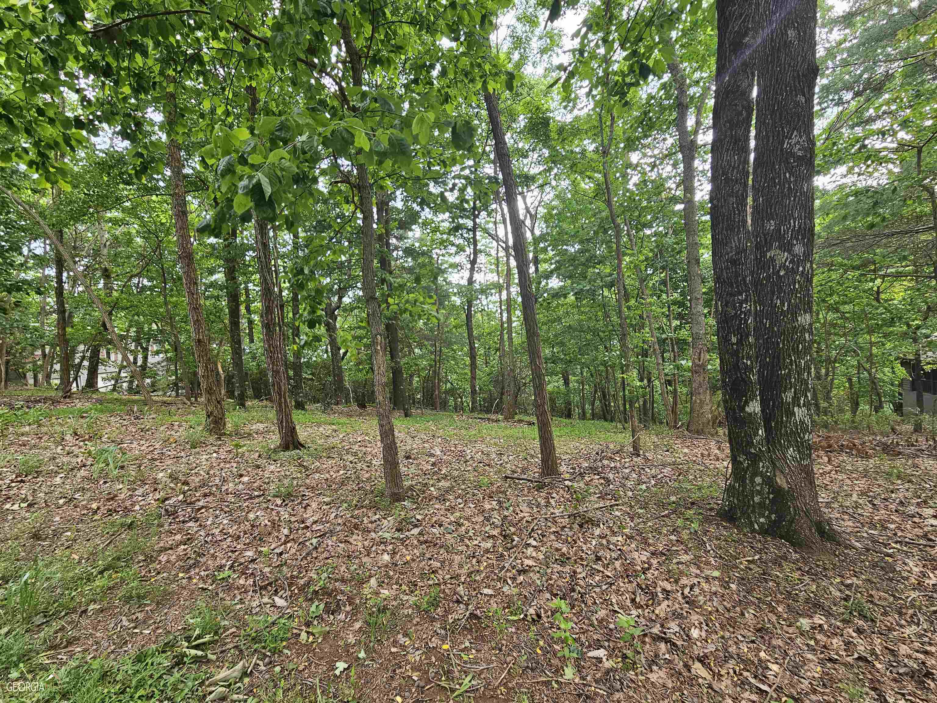 0 Ridgeview Drive Big Canoe, GA 30143 - Photo 1 of 1 Gallery Image 1