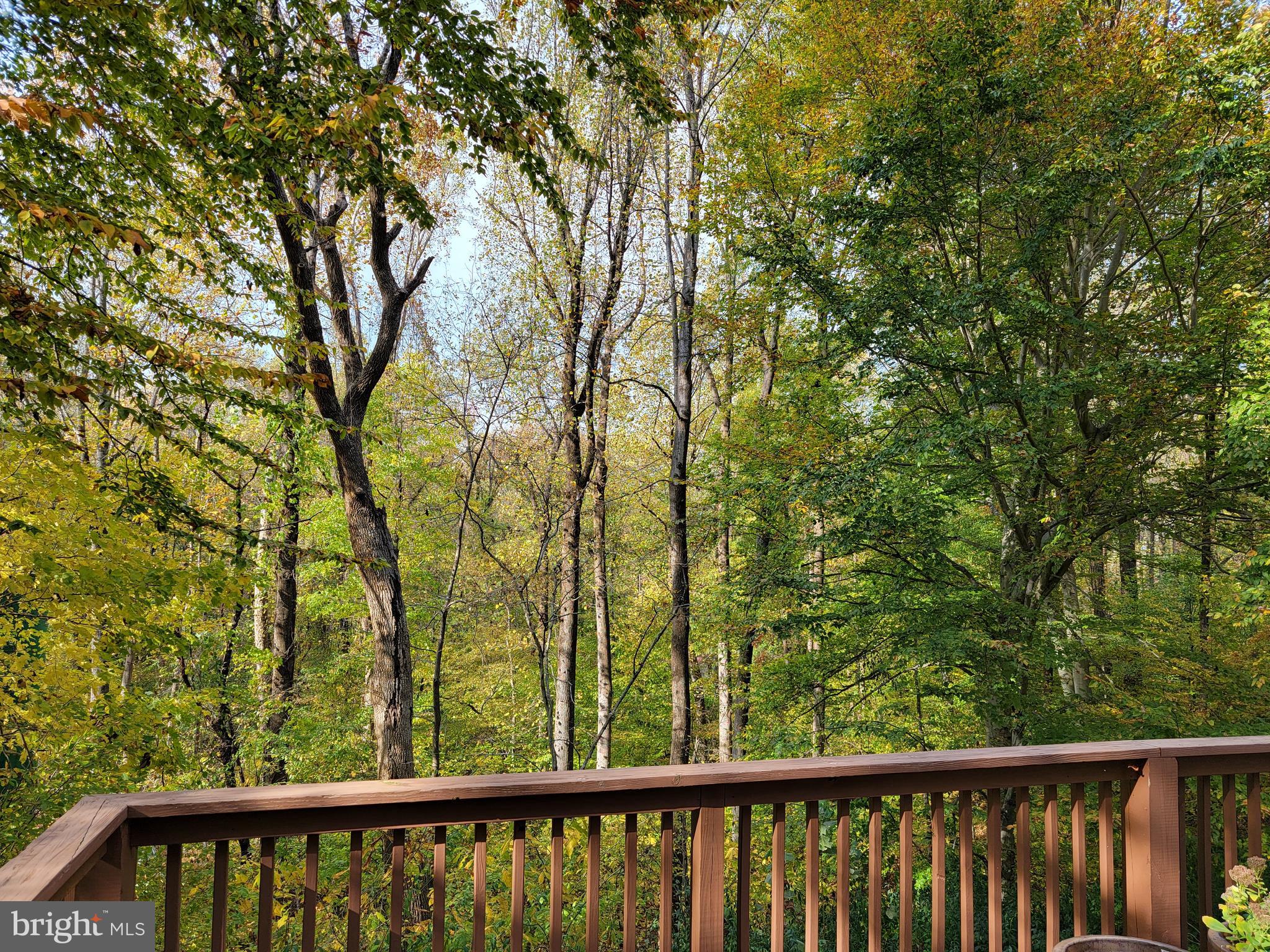 1430 Catalpa Road St. Leonard, MD 20685 - Photo 24 of 32