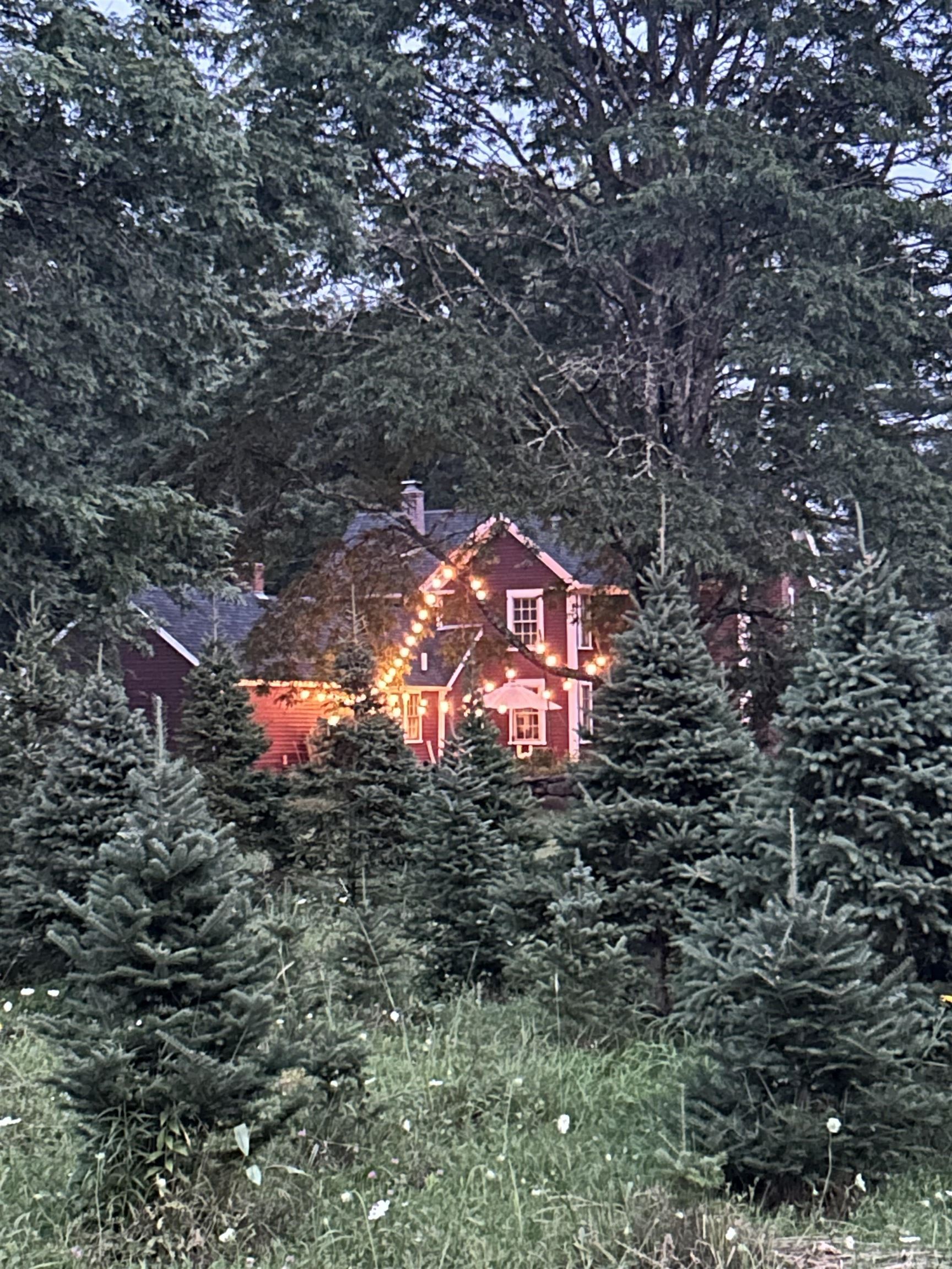 1038 Hopkinton Road Hopkinton, NH 03229 - Photo 57 of 59 Gallery Image 57