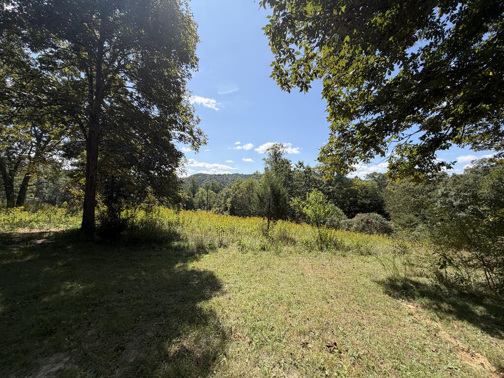 2443 Bruce Allen Road Hinton, WV 25951 - Photo 19 of 75 Gallery Image 19