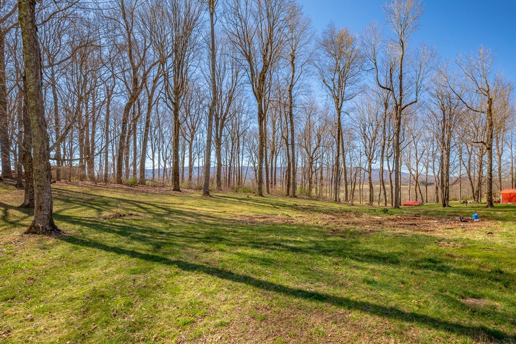 1504 Davis Valley Road Rural Retreat, VA 24368 - Photo 45 of 60 Gallery Image 45
