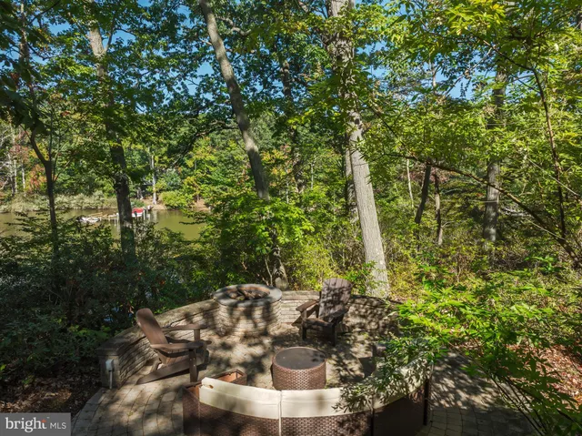 a view of a forest with a tree