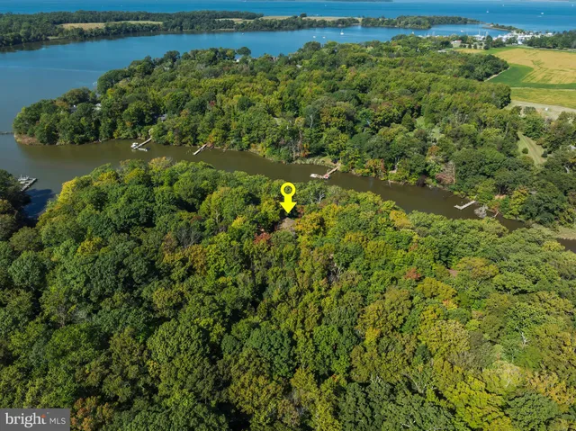 a view of a garden with a lake