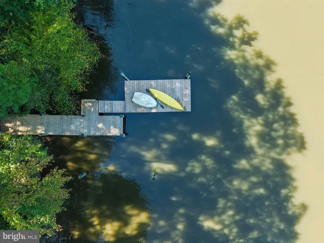a view of a tree with a yard