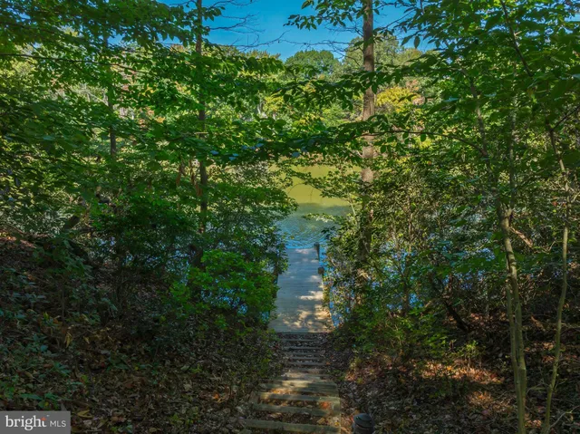 a view of a garden with plants