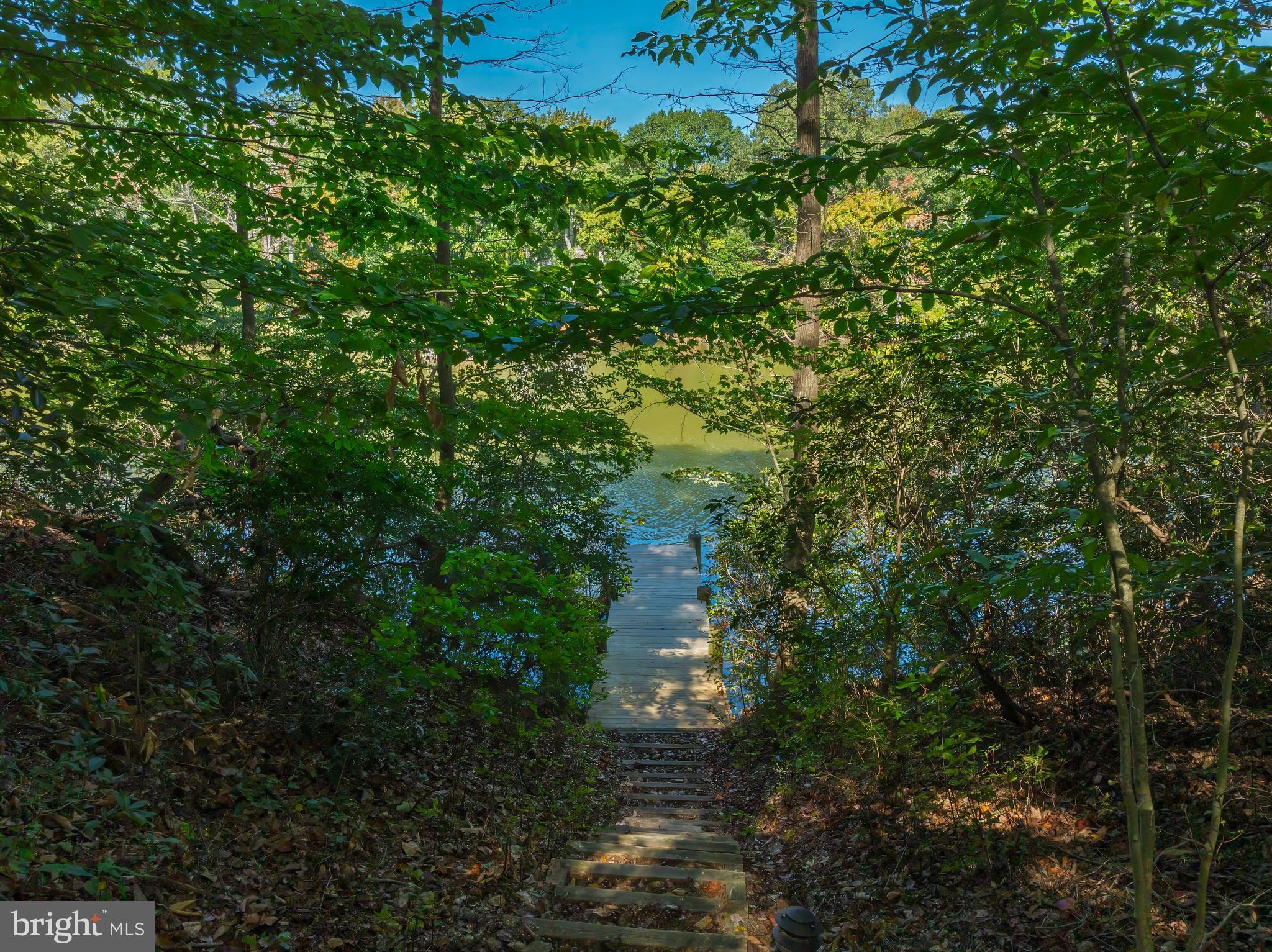 10050 Forrest Lane Chestertown, MD 21620 - Photo 7 of 49 a view of a garden with plants