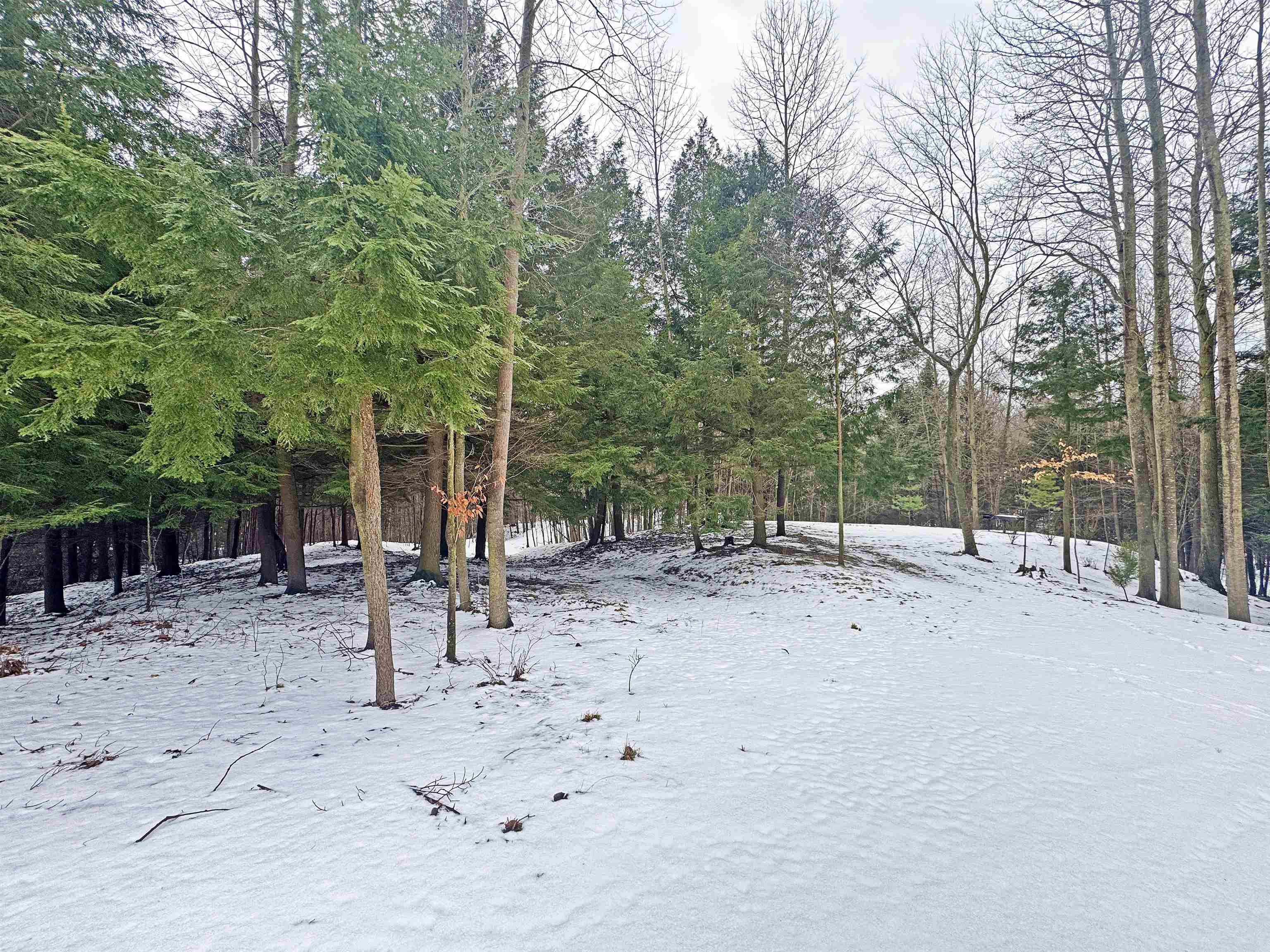 82-107 Moon Ridge Road, Unit LOT: 82,107 Onekama, MI 49675 - Photo 8 of 48
