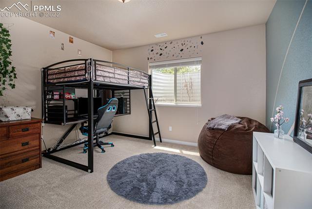 13932 Windy Oaks Road Colorado Springs, CO 80921 - Photo 23 of 28