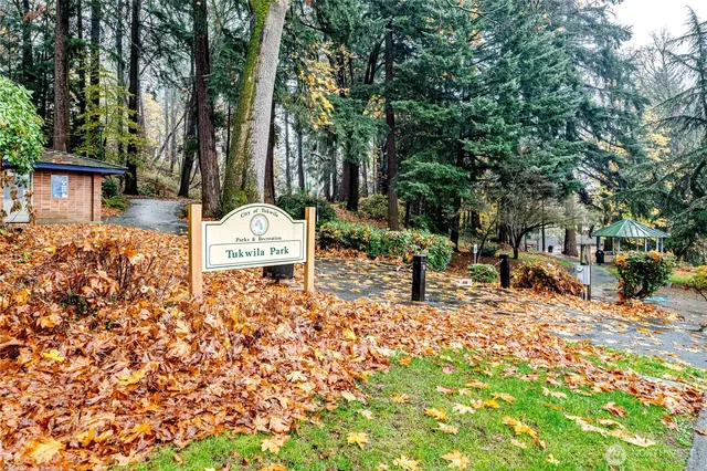 a view of a yard with a tree