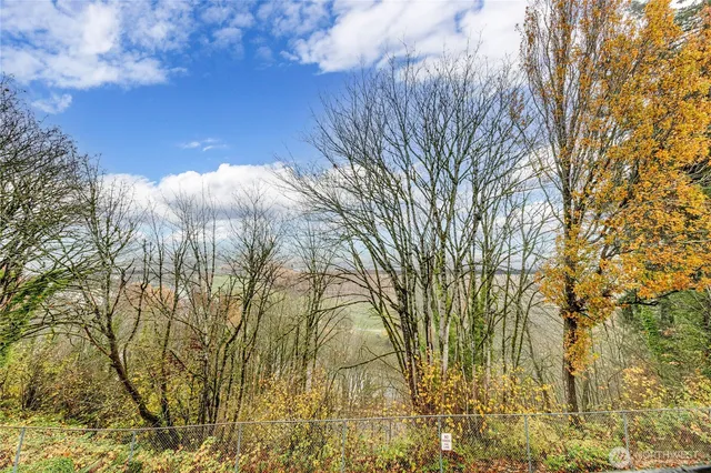 a view of a yard of the house