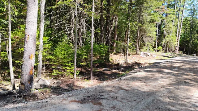 $59,500 | Lot 2 Nh Rte 4a, Enfield, NH 03748