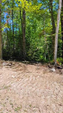 $59,500 | Lot 2 Nh Rte 4a, Enfield, NH 03748