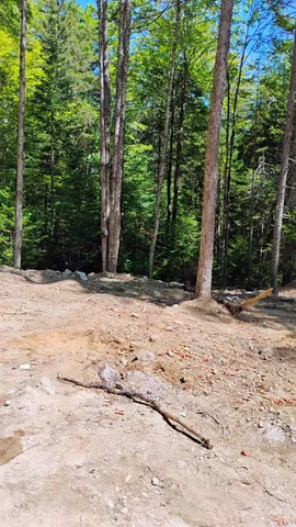 $59,500 | Lot 2 Nh Rte 4a, Enfield, NH 03748