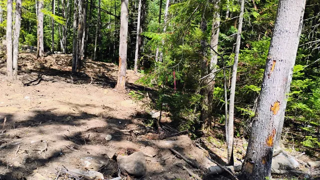 $59,500 | Lot 2 Nh Rte 4a, Enfield, NH 03748